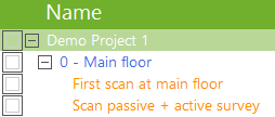 project name